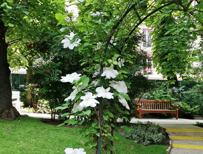 residence_auteuil-mirabeau_6